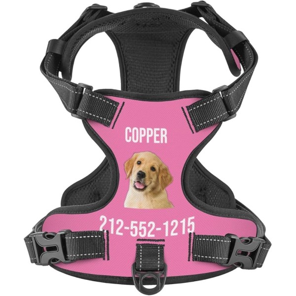 HARNAIS DE CHIEN PERSONNALISE